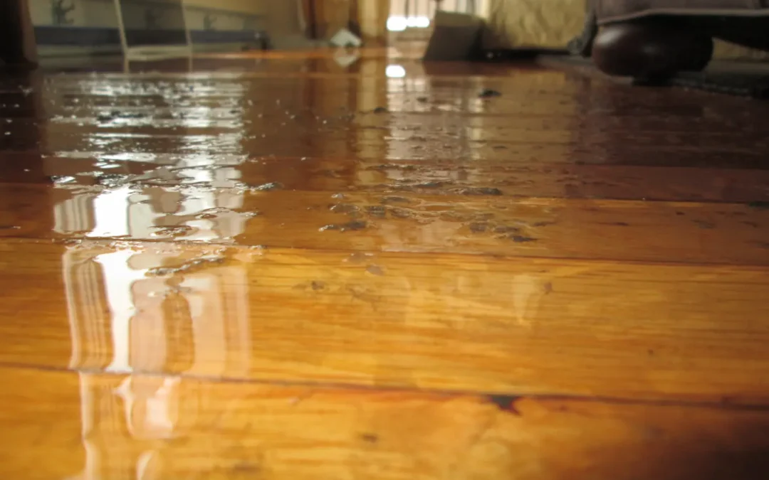 Water Damage on Hardwood Floor