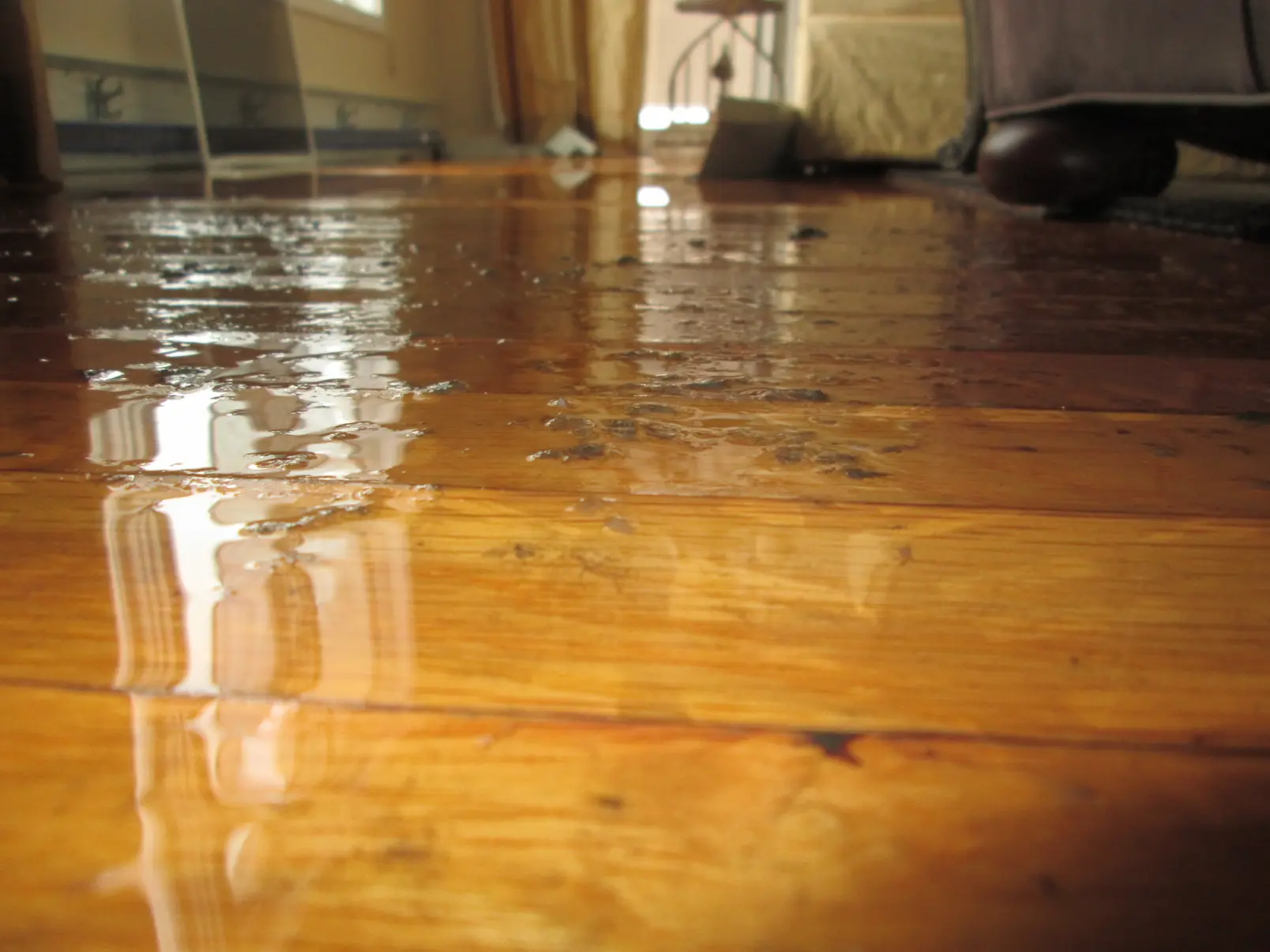 Water Damage on Hardwood Floor